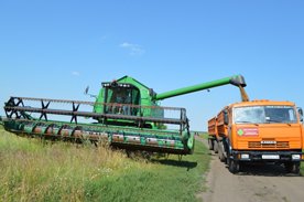 Собрано 4 миллиона тонн зерна