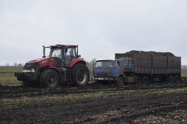 Белый сахар  рождается в черноземе