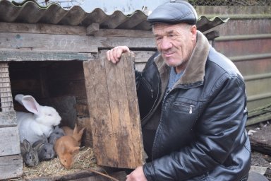 Царство пернатых рядом