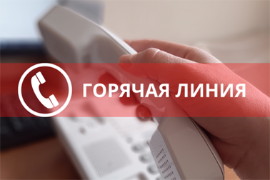 Горячая линия