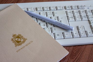 Курянам рассказывают о возможностях сервиса &laquo;Электронный инспектор&raquo;